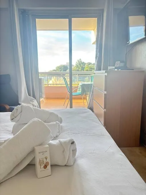 Apartment Appartement Lumineux Vue Mer, Piscine Et Tennis Nice